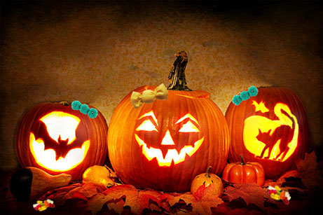 citrouilles halloween