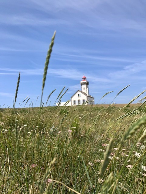 A la découverte des boutiques PPMC, visite de la pointe des Poulains à belle-île